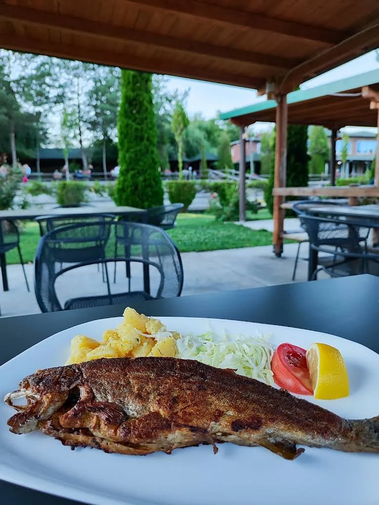 Troftë e përgatitur dhe servuar te Restorant Delfini