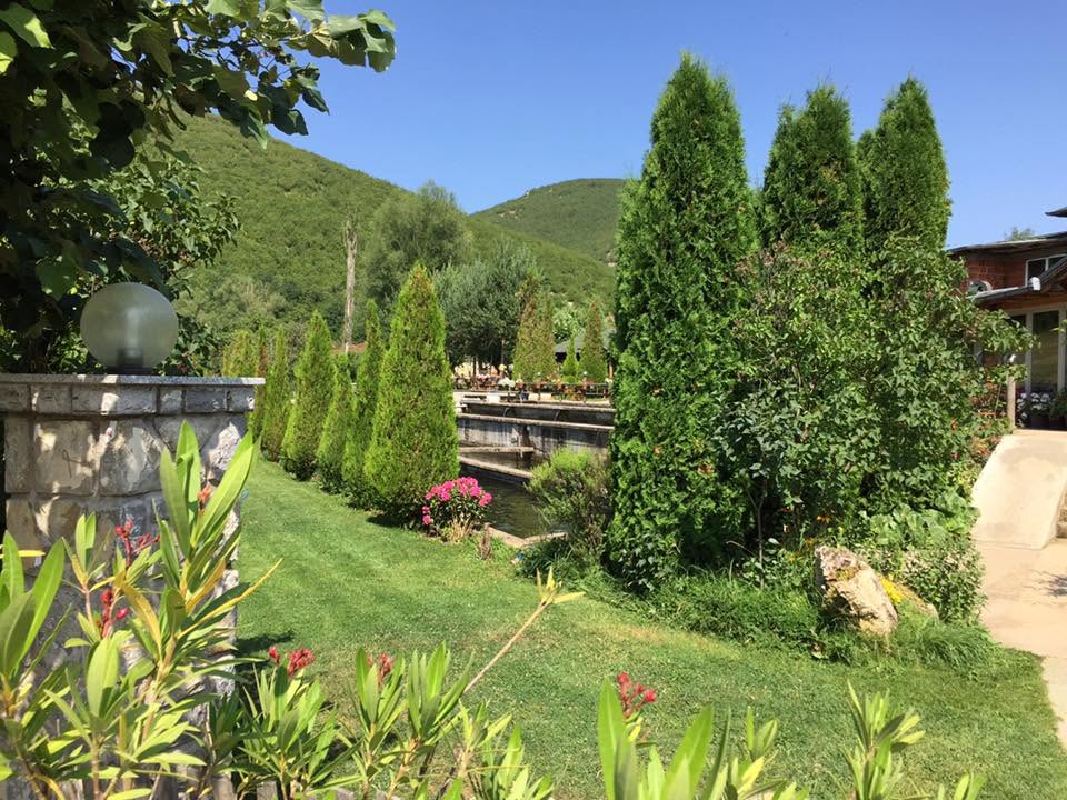 Restorant Delfini — foto 4